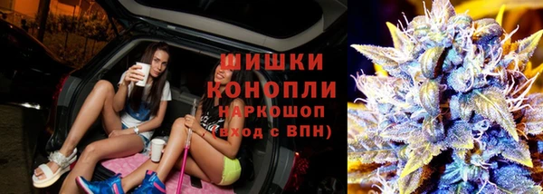 молекула духа Михайлов
