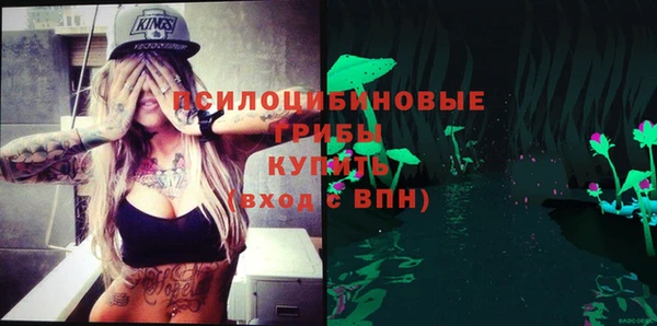 прущая мука Чердынь