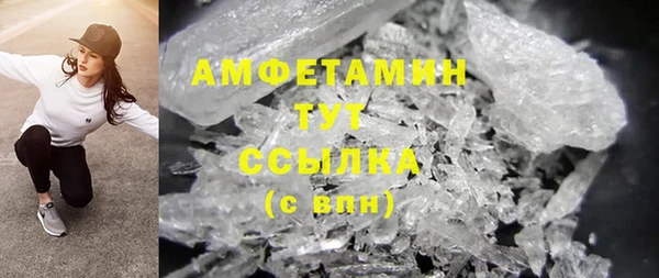 молекула духа Михайлов