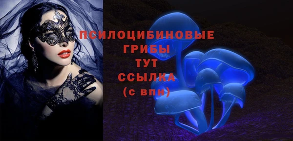 молекула духа Михайлов