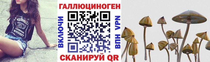 блэк спрут онион  Дрезна  Галлюциногенные грибы прущие грибы 